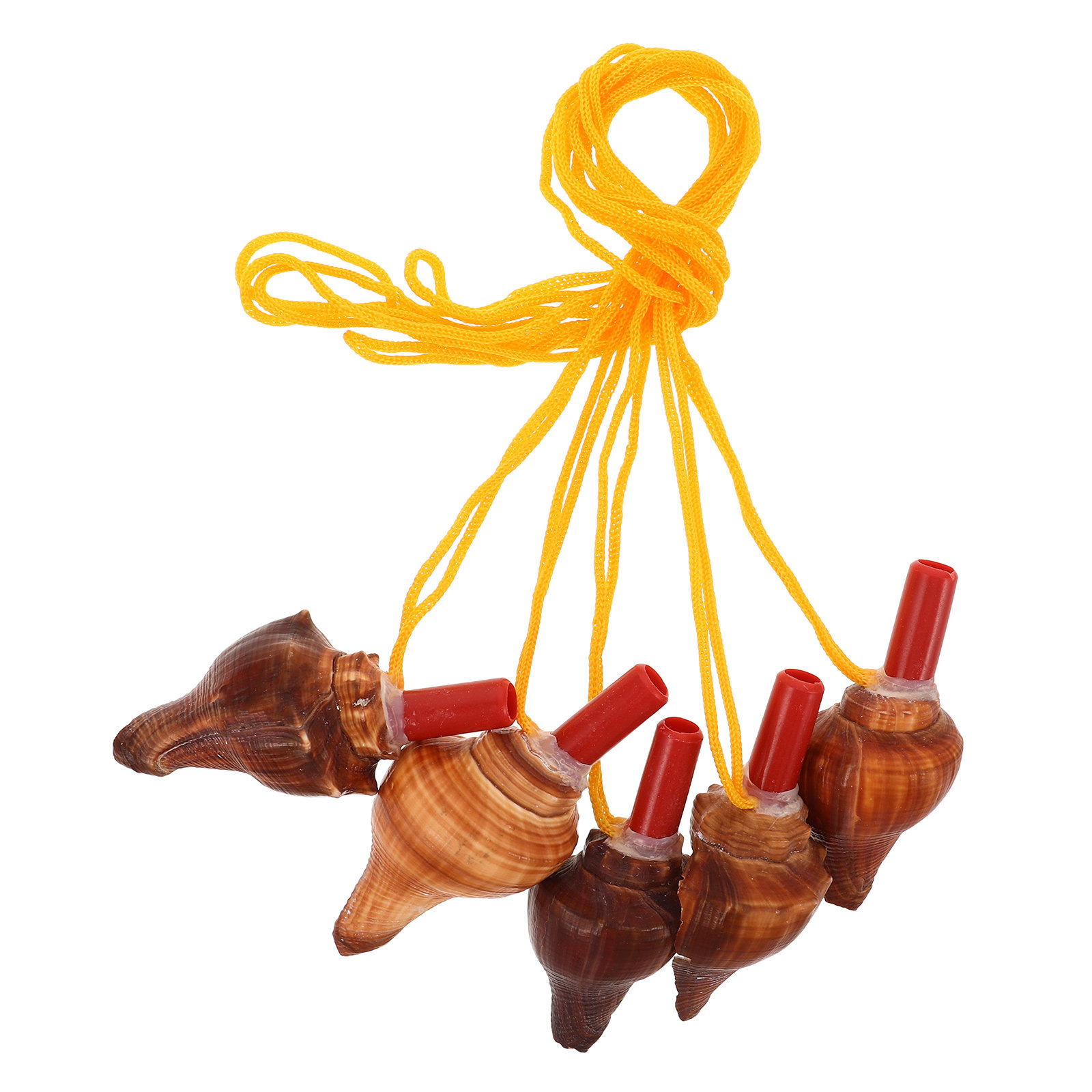 Silbato de concha de mar natur - Outdoor Adventure Kids Party reseña y precio