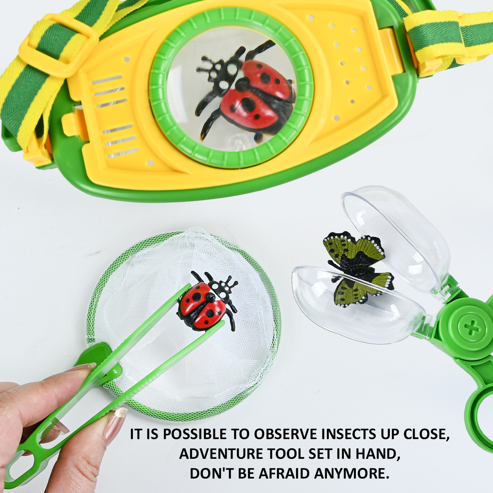 Caja de observación de insecto - Outdoor Adventure Gifts reseña y precio